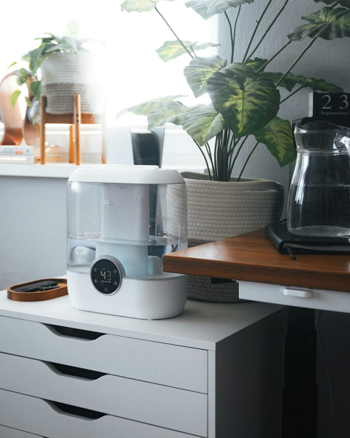 Minimalist kitchen with clean countertops, coffee maker connected to hidden smart plug, and warm under-cabinet lighting
