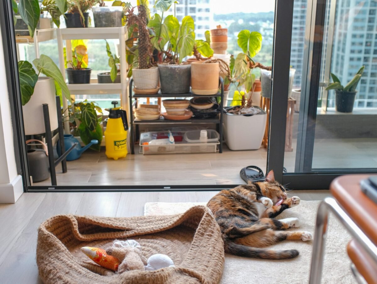 Ecosystem comparison image